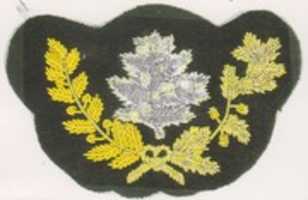 Free download 1864 -1866 United States Navy Officer Cap Badges, free photo or picture to be edited with GIMP online image editor