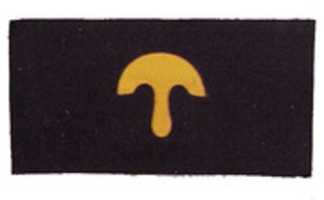 Free download 1872-1902 United States Army Chevron for Saddler free photo or picture to be edited with GIMP online image editor