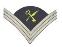 Free download 1872-1902 United States Army Chevrons of a Post Quartermaster Sergeant  free photo or picture to be edited with GIMP online image editor