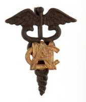 Descarga gratuita 1898-1919 Brazos y rama de la insignia de bronce oscurecido del ejército de EE. UU. Foto o imagen gratuita para editar con el editor de imágenes en línea GIMP