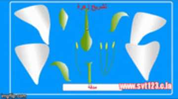 Free download 18iw 8u free photo or picture to be edited with GIMP online image editor