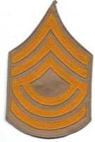 Free download 1902 Cavalry Chevrons in the U.S. Army free photo or picture to be edited with GIMP online image editor