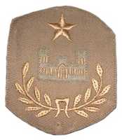 Free download 1902 United States Army Corps of Engineers Chevrons free photo or picture to be edited with GIMP online image editor