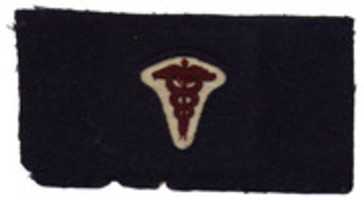 Free download 1902 United States Army Hospital Corps Chevrons free photo or picture to be edited with GIMP online image editor
