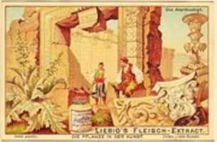 Free download 1904. Die Pflanzeim der Kinst free photo or picture to be edited with GIMP online image editor