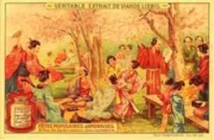 免费下载 1907. Fete de La Floraison des Descerisiers 免费照片或图片，可使用 GIMP 在线图像编辑器进行编辑