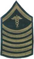 Free download 1920-1938 Unauthorized Private First Class Specialist Chevrons   free photo or picture to be edited with GIMP online image editor
