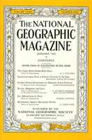 Free download (1933) Crows, Magpies and Jays free photo or picture to be edited with GIMP online image editor