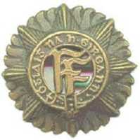 Free download (1943) Insignia and Uniforms of the Irish Army in World War Two free photo or picture to be edited with GIMP online image editor