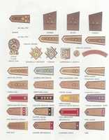 Free download 1945-1991 Epaulettes of the Soviet Satellites free photo or picture to be edited with GIMP online image editor