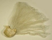 Free download 1960`s Wedding Head Dress free photo or picture to be edited with GIMP online image editor