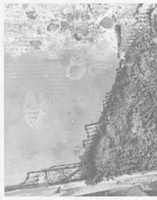 Free download 1961 Robert C Bassler Photographer Bel Air Fire Pattern free photo or picture to be edited with GIMP online image editor