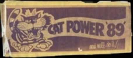 Скачать бесплатно фото или картинку 1989 Cat Power для редактирования в онлайн-редакторе GIMP