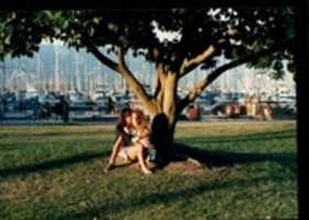 Free download 1990 SANTA BARBARA  HARBOR LOVE BIRDS 35 MM PRINTS free photo or picture to be edited with GIMP online image editor