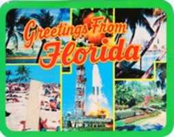 Free download 1992 Florida Postcard Greetings free photo or picture to be edited with GIMP online image editor