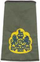 ดาวน์โหลดฟรี 1999 Royal Army Slip-On Rank Marks รูปถ่ายหรือรูปภาพฟรีที่จะแก้ไขด้วยโปรแกรมแก้ไขรูปภาพออนไลน์ GIMP