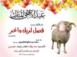 Free download 1 Aed Dawoa free photo or picture to be edited with GIMP online image editor
