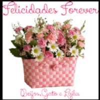 Free download 1 NIVER FOREVER 2016 13 free photo or picture to be edited with GIMP online image editor