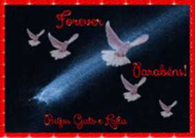 Free download 1 NIVER FOREVER 2016 2 free photo or picture to be edited with GIMP online image editor