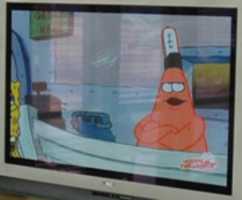 Free download 2006 01 01 9000am Sponge Bob Square Pants free photo or picture to be edited with GIMP online image editor