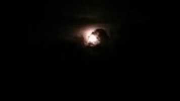 Free download 20151225 183311 free photo or picture to be edited with GIMP online image editor