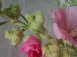 Free download 2017-06-30 17.36.59 free photo or picture to be edited with GIMP online image editor