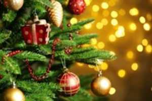 Free download 2019_L1Q29_ONLINE_DE free photo or picture to be edited with GIMP online image editor