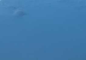 Free download 20200125 143829 free photo or picture to be edited with GIMP online image editor