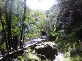 Free picture 2020 04 Memory Dump Images to be edited by GIMP online free image editor by OffiDocs