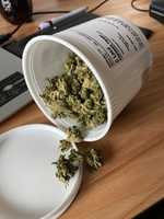 Free download 2020 Cannabis Can free photo or picture to be edited with GIMP online image editor
