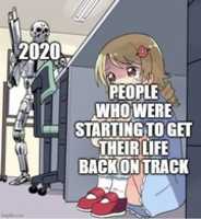 Free download 2020 life meme. free photo or picture to be edited with GIMP online image editor