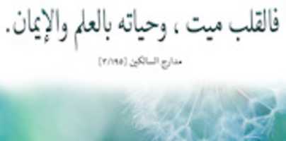 Free download 224 HD free photo or picture to be edited with GIMP online image editor