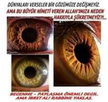 Free download 255 Muhtelif Konular Meseleler 2 Halis Atilla 20 Haziran 2016 free photo or picture to be edited with GIMP online image editor