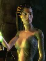 Free download 270ef 48d 831ed 1f 6888595ef 20589d 6c( 1) free photo or picture to be edited with GIMP online image editor