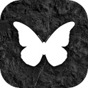 X2B  screen for extension Chrome web store in OffiDocs Chromium