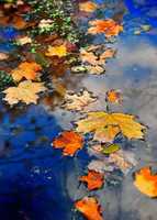 Free download 34 CB 9788 8514 4 CBE 955 D B 9 D 6 C 841953 A free photo or picture to be edited with GIMP online image editor
