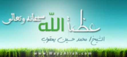 Free download 3zmt Ellah free photo or picture to be edited with GIMP online image editor