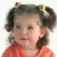 Free download 44514f 84e 3gr 1 free photo or picture to be edited with GIMP online image editor