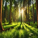 456movies Golden Sun Forest Interface  screen for extension Chrome web store in OffiDocs Chromium