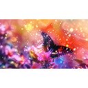 4K Butterfly Wonderland  screen for extension Chrome web store in OffiDocs Chromium