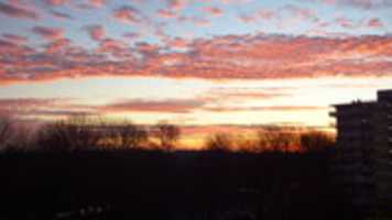 Free download 4x Rising Sun free photo or picture to be edited with GIMP online image editor