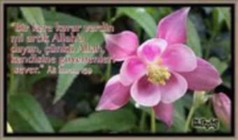 Free download 53 Ayet Hadis Dua Muhtelif Halis Atilla 12 Mart 2016 free photo or picture to be edited with GIMP online image editor