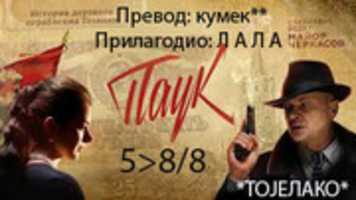 Free download 5 8 8 Pauk free photo or picture to be edited with GIMP online image editor