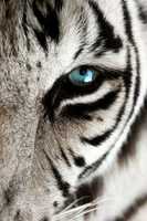 Free download 5f 5243732090610b 915cc 51c 8d 87673c free photo or picture to be edited with GIMP online image editor