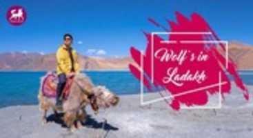 Free download 5 Things To Know Before Going to Leh Ladakh Trip free photo or picture to be edited with GIMP online image editor