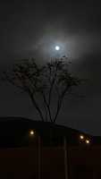 Free download 66735 AA 6 6 A 37 419 E B 247 9 D 31 DD 166403 free photo or picture to be edited with GIMP online image editor
