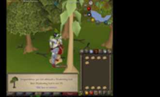 Free download 70 Woodcutting free photo or picture to be edited with GIMP online image editor