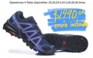 Free download 7100 A 8 A 7 6679 469 A 9109 163 D 35 AE 486 A free photo or picture to be edited with GIMP online image editor