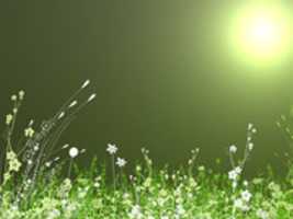 Free download 77b 079617fc 6667e 2987c 12a 2c 342820 free photo or picture to be edited with GIMP online image editor