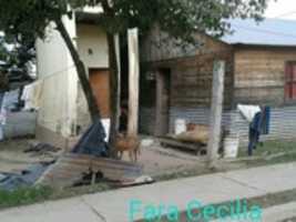 Free download 8f 281f 81 B 454 4563 8163 3a 154b 598cd 0 free photo or picture to be edited with GIMP online image editor